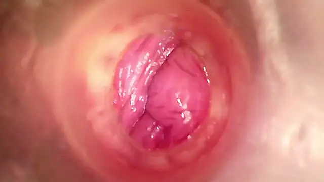 shannon kinne  online show from 01-15-26, 01:58