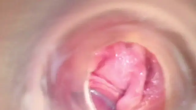 shannon kinne  online show from 11-22-25, 08:29