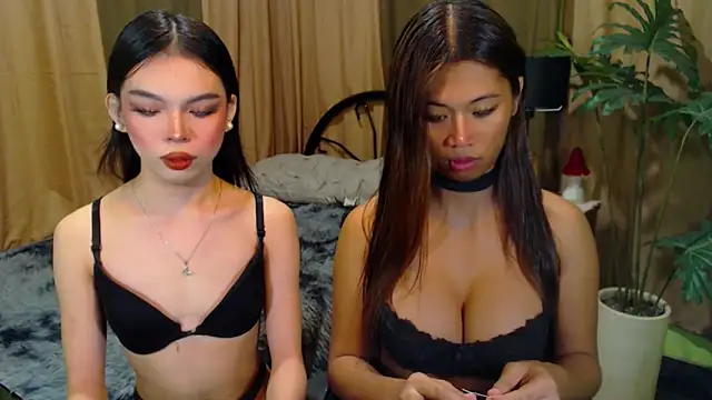 TWINKTRANSSHANEL online show from 10-12-25, 04:36