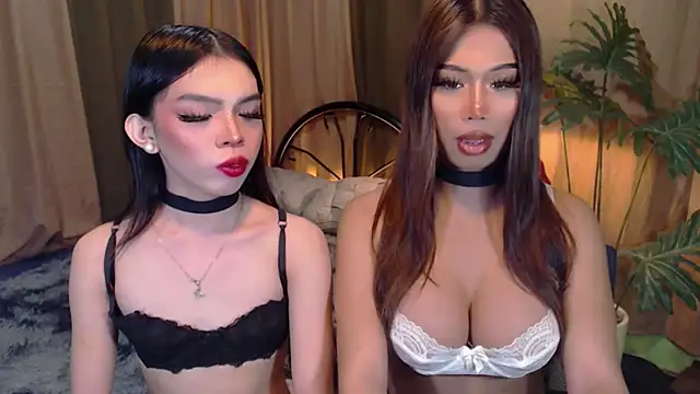 TWINKTRANSSHANEL online show from 10-06-25, 04:24