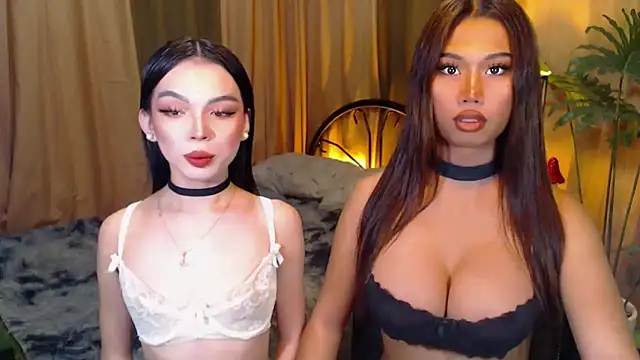 TWINKTRANSSHANEL online show from 10-08-25, 04:25