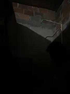 lady and charly online show from 02-07-26, 11:24