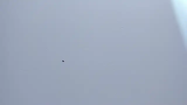 Malory  Jones online show from 01-09-26, 06:59