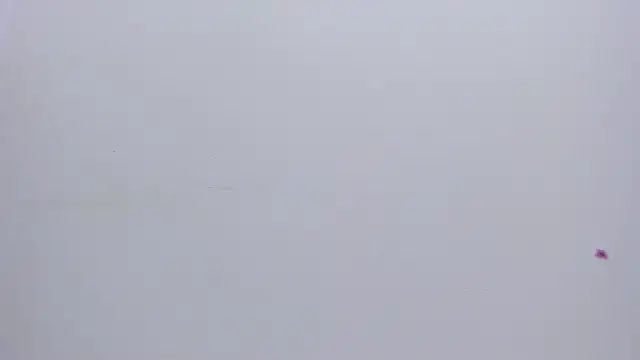 Malory  Jones online show from 01-13-26, 06:34