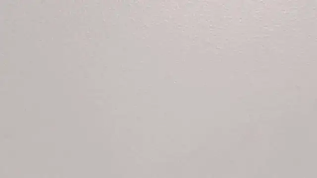 GeorginaFit online show from 10-30-25, 12:03