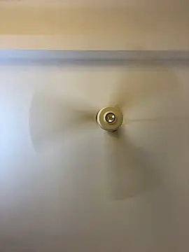 Nhefertary online show from 03-04-26, 02:19