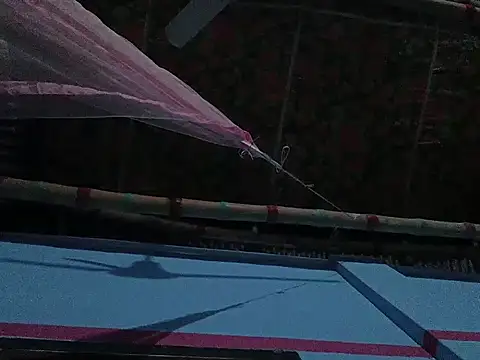 mfrboss1 online show from 12-22-25, 09:48