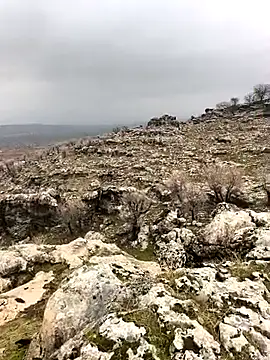 Sert erkek21 ysm online show from 02-02-26, 10:03