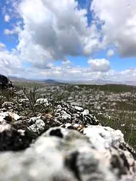 Sert erkek21 ysm online show from 03-31-26, 09:22