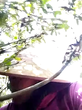 sumaybae online show from 11-28-25, 07:08