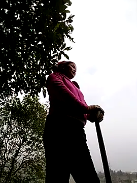 sumaybae online show from 12-05-25, 08:24