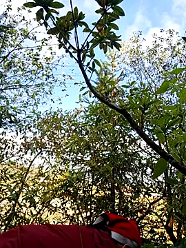 miomio-12 online show from 11-23-25, 02:43