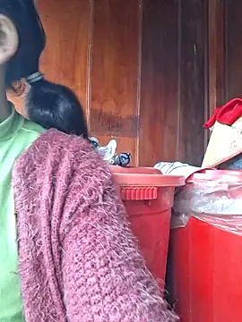 miomio-12 online show from 02-23-26, 01:29