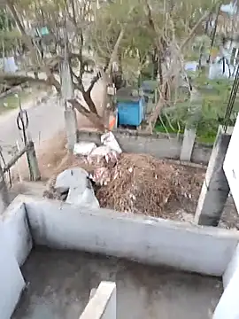 hemcrazy online show from 02-20-26, 01:02