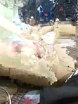 ROSHANI 234 online show from 11-02-25, 02:11