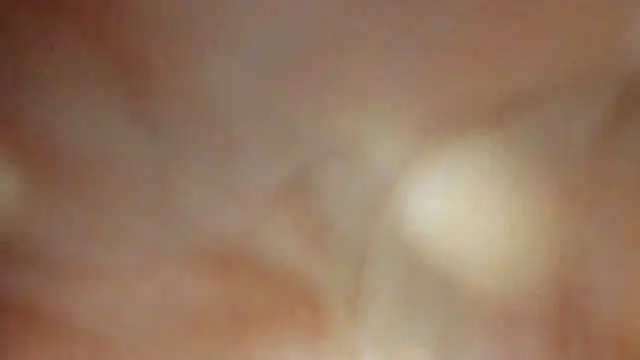 sexyboys cutex18 online show from 12-19-25, 08:44