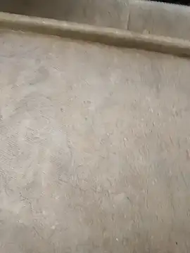 pn12345 online show from 12-01-25, 05:08