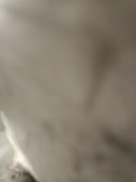 pn12345 online show from 12-17-25, 04:28