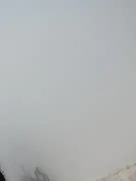  Bella Beth  online show from 12-02-25, 12:55