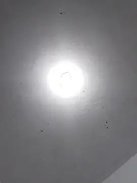  Bella Beth  online show from 11-30-25, 02:12