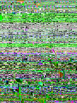Snapshot of lain213 chatting on 10-09-25, 05:19 lain213 online show from 10-09-25, 05:19
