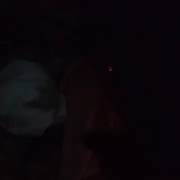 Aragis35 online show from 12-05-25, 06:56