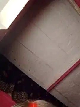 Cr sonam online show from 11-07-25, 11:30