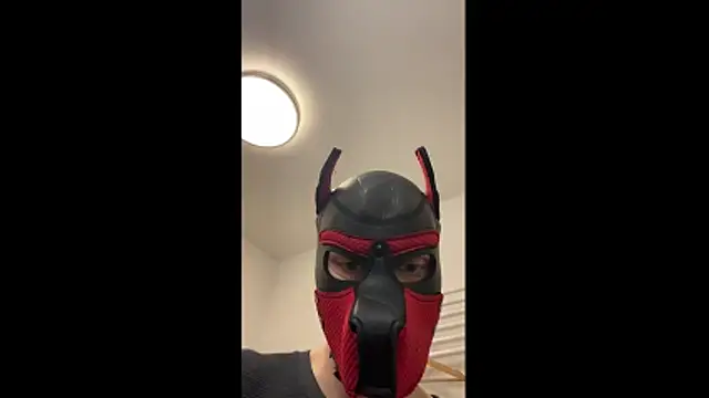 MolleDolle online show from 02-05-26, 04:47