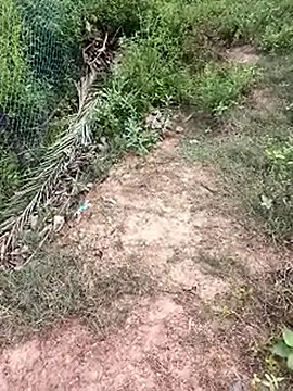 Snapshot of MalickKai chatting on 10-14-25, 10:49 MalickKai online show from 10-14-25, 10:49