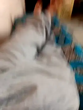 latarak321 online show from 10-12-25, 03:35