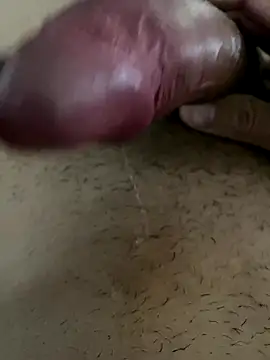 Snapshot of leiteiro2002 chatting on 11-09-25, 11:58 leiteiro2002 online show from 11-09-25, 11:58