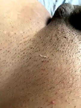 Snapshot of leiteiro2002 chatting on 11-05-25, 08:23 leiteiro2002 online show from 11-05-25, 08:23