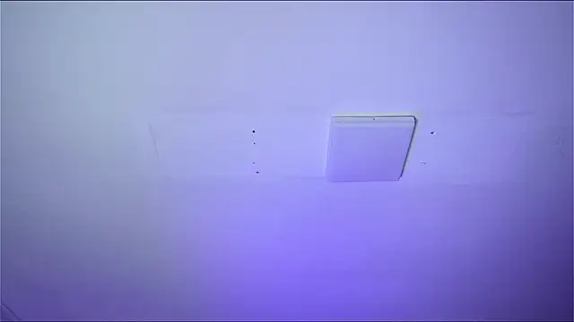 Bayonetta doll online show from 02-14-26, 12:49