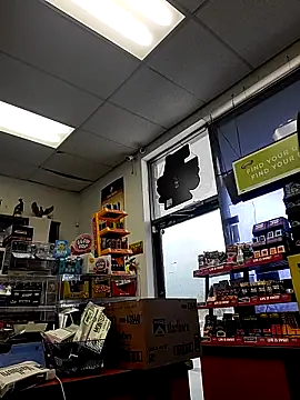 Cassaroll333 online show from 10-29-25, 03:44