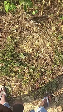 BiggerDickGuy online show from 11-14-25, 04:38