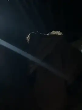 hello-cute online show from 11-12-25, 11:19