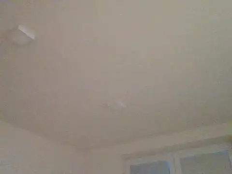 Snapshot of czechguy chatting on 10-24-25, 04:06 czechguy online show from 10-24-25, 04:06