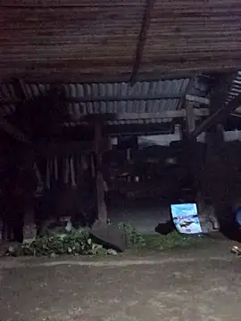 jerry-xx online show from 03-28-26, 10:11