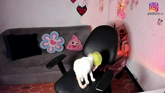 Emilycollei online show from 04-11-26, 07:45