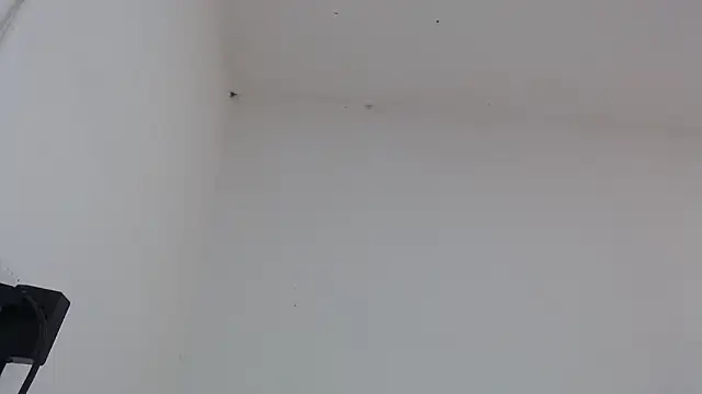 Snapshot of drako_monster chatting on 02-04-26, 03:18 drako monster online show from 02-04-26, 03:18