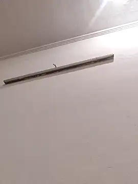 Anchal-8798 online show from 01-08-26, 04:24