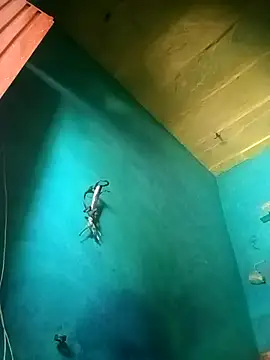 Rt shreya online show from 11-21-25, 06:45