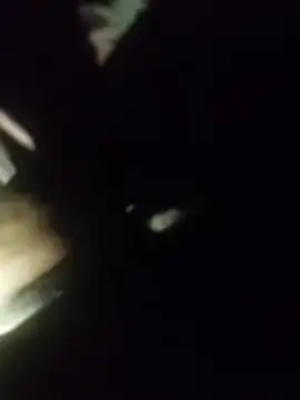 Thaps deDick online show from 04-11-26, 09:40