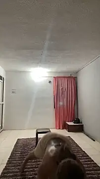 thepicis online show from 03-13-26, 12:26