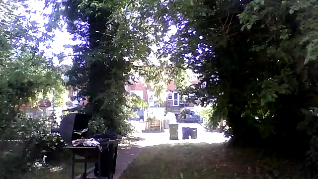 dezzidavill online show from 05-20-26, 01:52