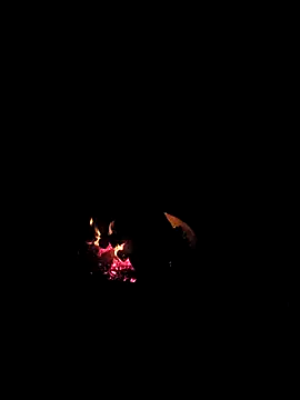 Snapshot of Floridaboy863 chatting on 02-05-26, 03:35 Floridaboy863 online show from 02-05-26, 03:35