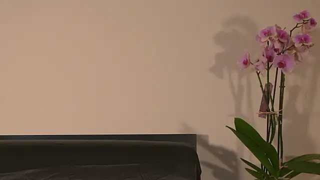 AbrilColls  online show from 03-15-26, 12:17