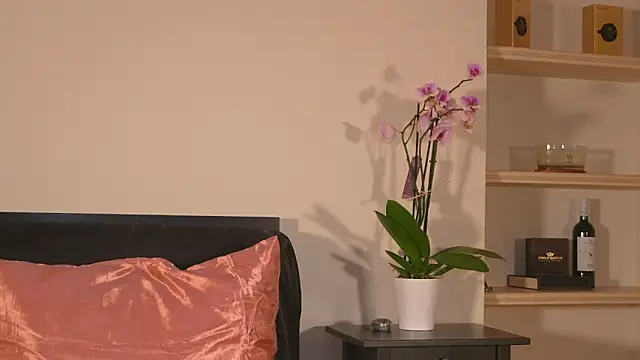 AbrilColls  online show from 03-21-26, 12:34