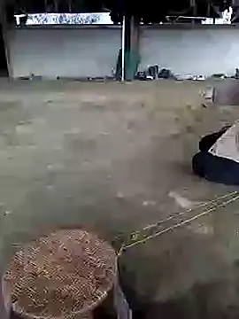 marylove-cc online show from 11-20-25, 02:12