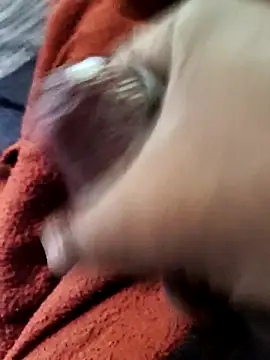 lexxymoron online show from 11-15-25, 02:59